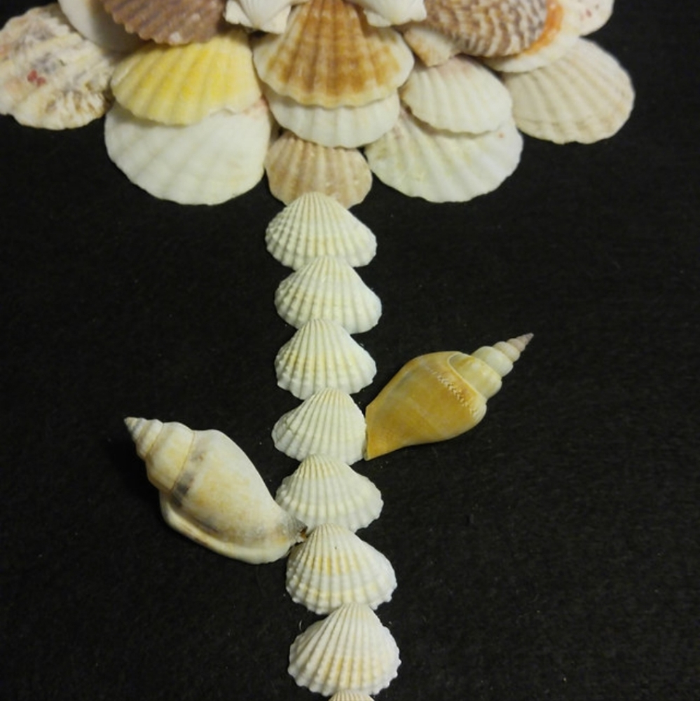 Wall Art Shell Flower Tree Shell Art - Picture 2 of 4